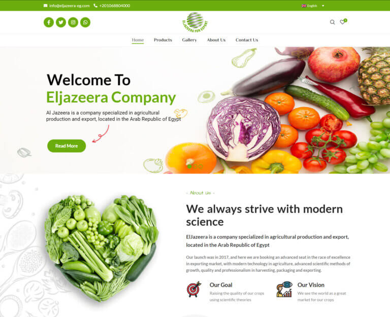 eljazeera-hero-section